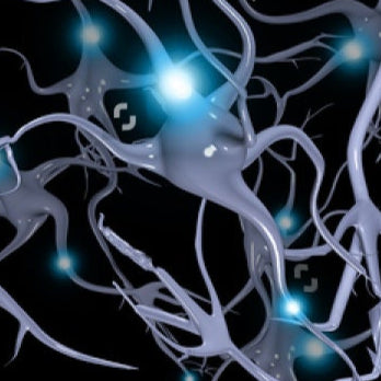 Neurons- Classic/Men's Scrub Cap
