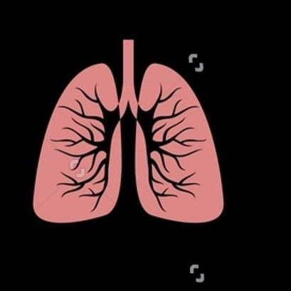 A repeating pattern of pink lungs with black branching bronchi on a black background, overlaid with Shutterstock watermarks.